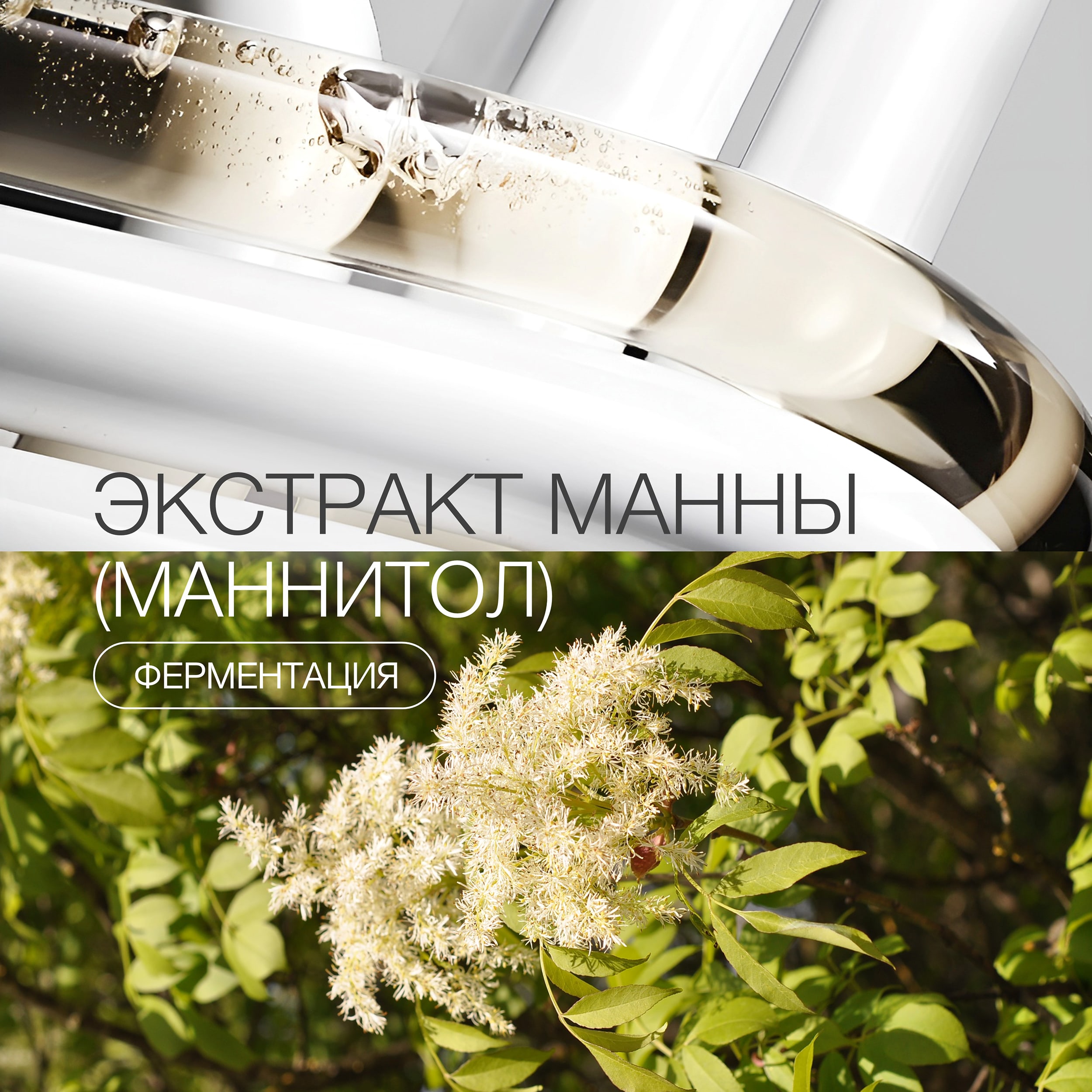 Пост маннитол (манна) 2.jpg